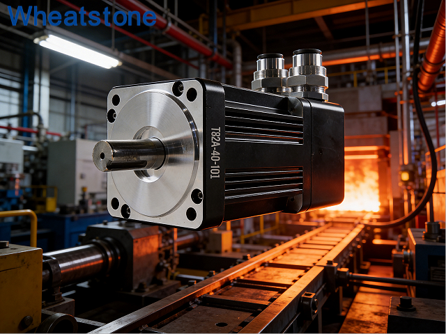 飞蛾1.png 飞蛾1.png