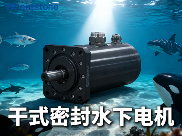 干式密封水下电机：惠斯通“干舱”技术如何