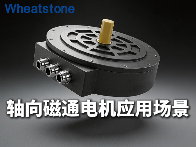 轴向磁通电机：惠斯通如何按应用场景精准匹