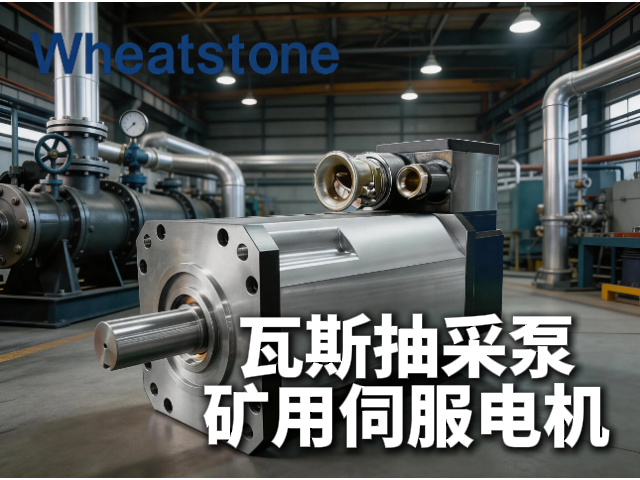 瓦斯抽采泵防爆伺服电机：惠斯通以Ex d