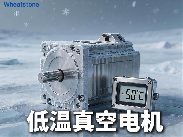 惠斯通-196℃超低温真空电机：真空环境