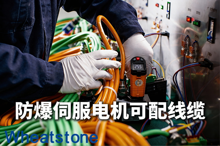 防爆伺服电机的“血管”与“神经”——TR
